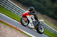 PJ-Motorsport-2019;donington-no-limits-trackday;donington-park-photographs;donington-trackday-photographs;no-limits-trackdays;peter-wileman-photography;trackday-digital-images;trackday-photos